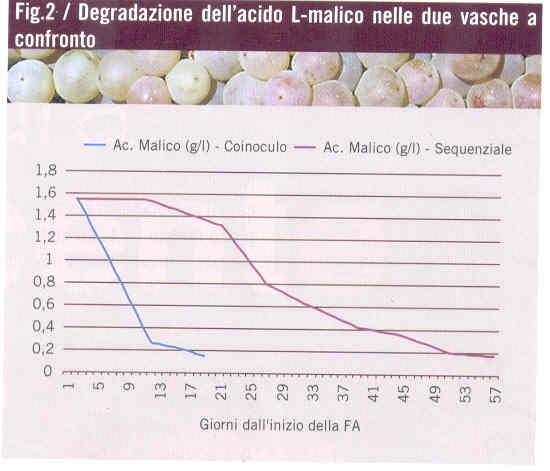 figura2