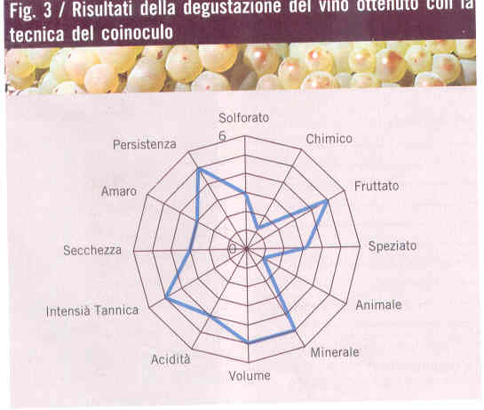 figura3