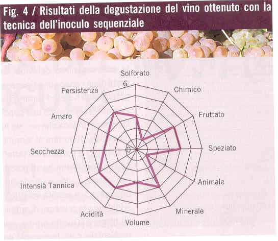 figura4