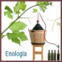 enologia
